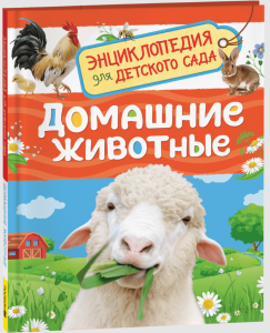 2025-08-28_14-36-43 (1)