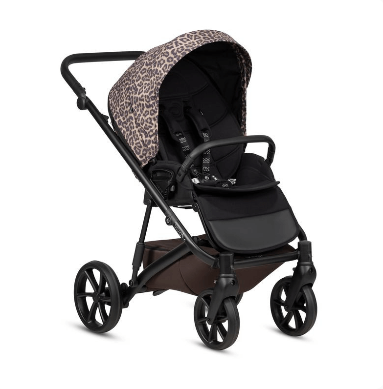 2026-03-03_11-59-38 (1)