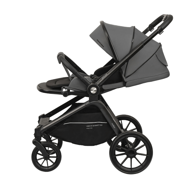 2024-11-15_13-15-21 (1)