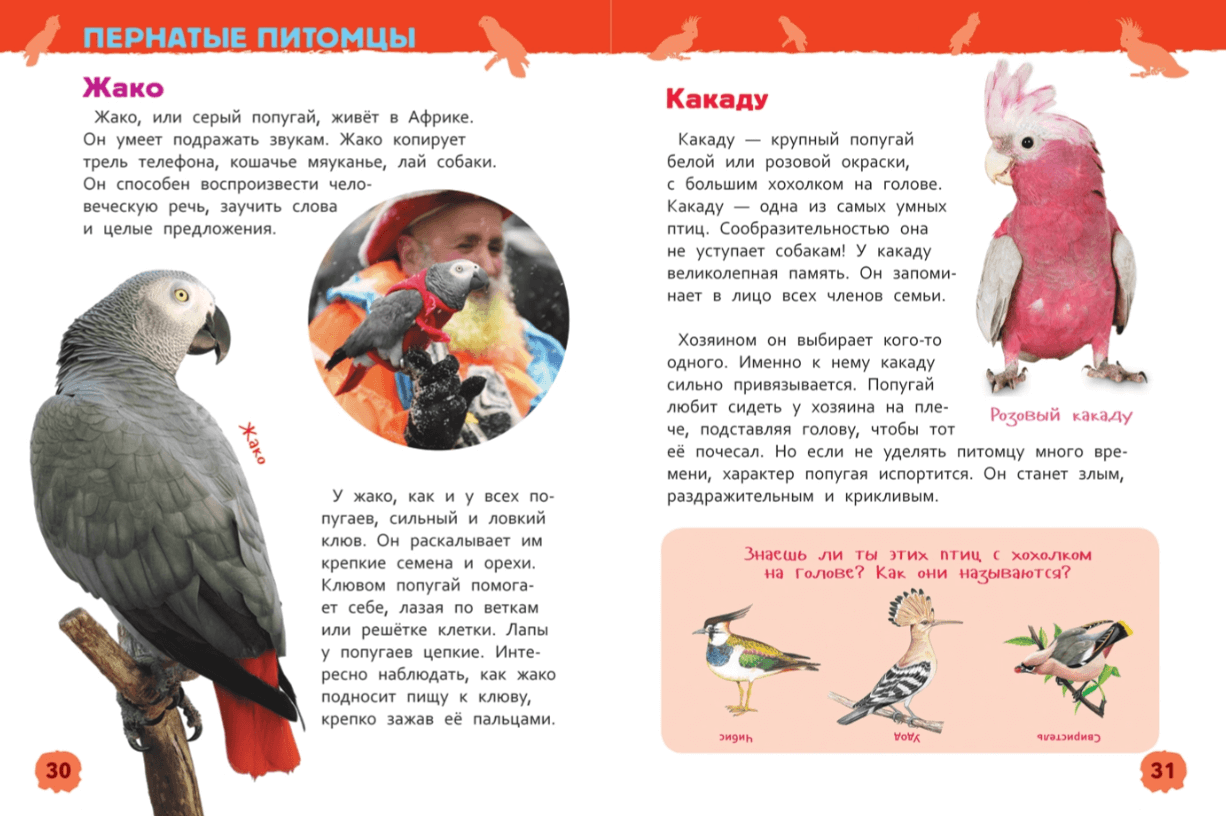 2025-10-30_16-19-01 (1)