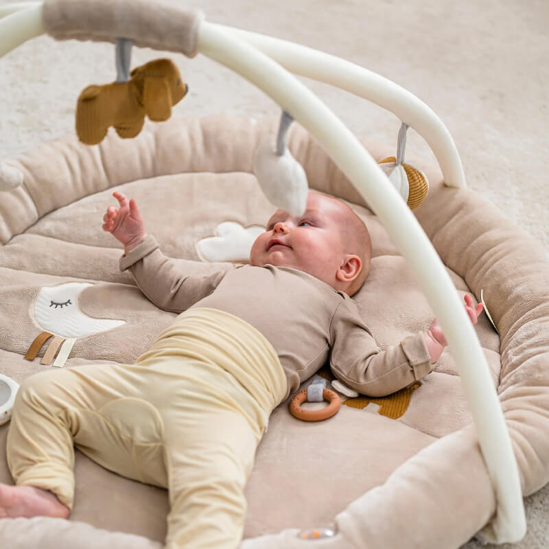 Nattou Коврик игровой круг Charlie Собачка