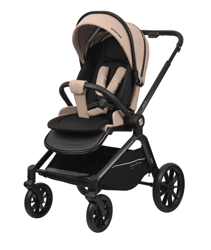 2024-11-15_13-10-30 (1)