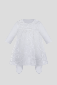 2024-11-28_17-36-48 (1)