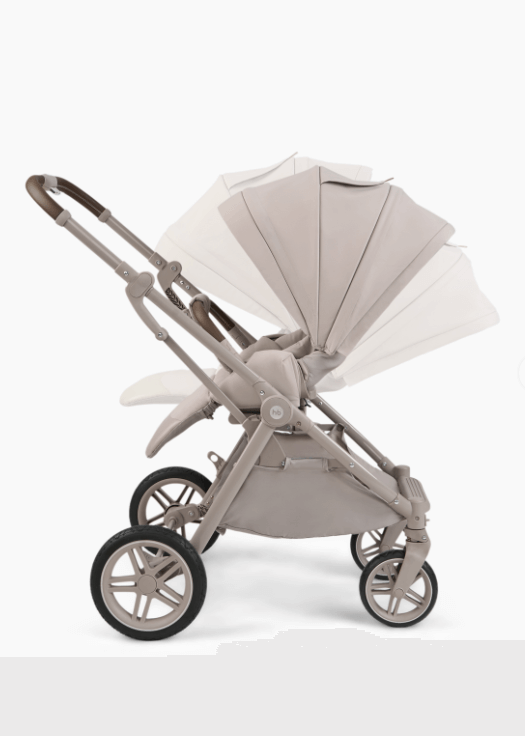 2025-04-22_12-31-52 (1)