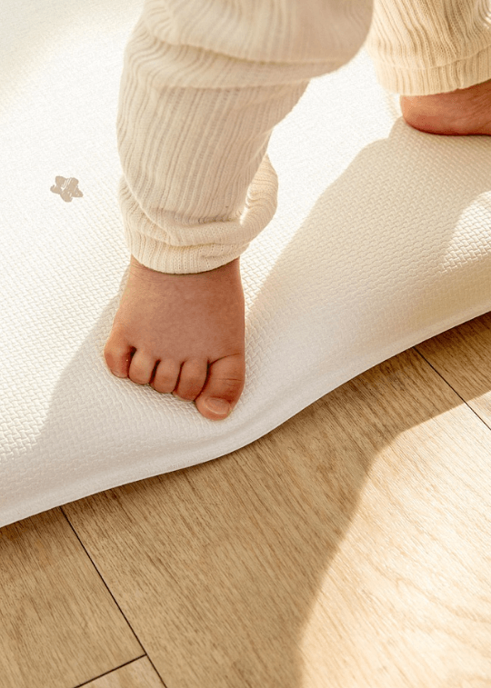 2026-02-17_11-29-48 (1)