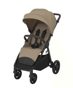 2026-01-28_12-47-59 (1)