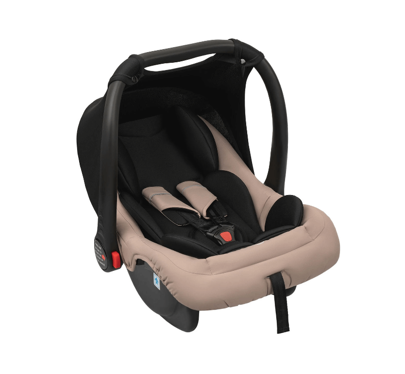 2024-11-15_13-17-20 (1)