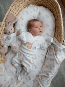 2024-08-27_11-24-49 (1)