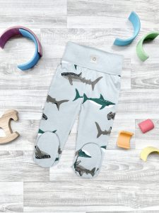 2025-02-05_12-58-17 (1)