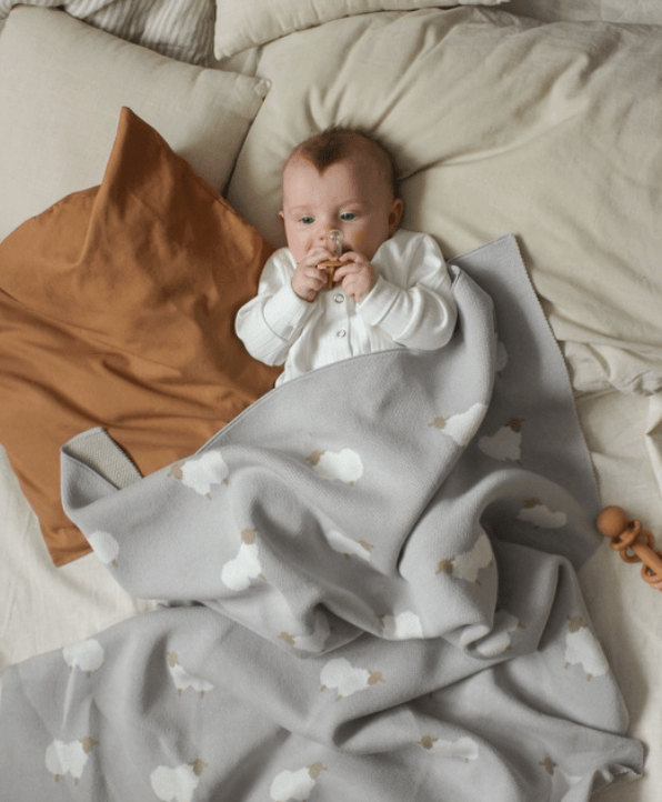 2024-10-16_11-42-10 (1)