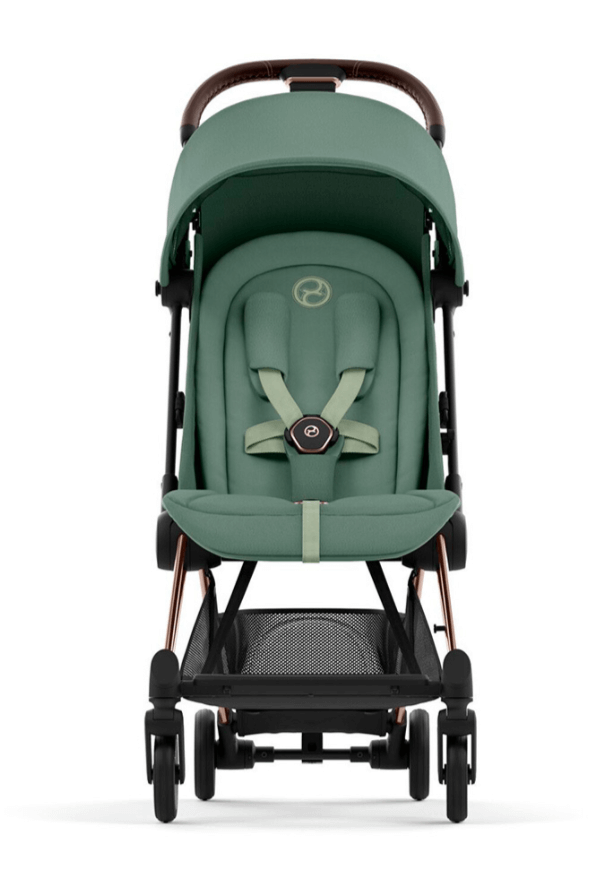 2026-02-18_12-50-20 (1)