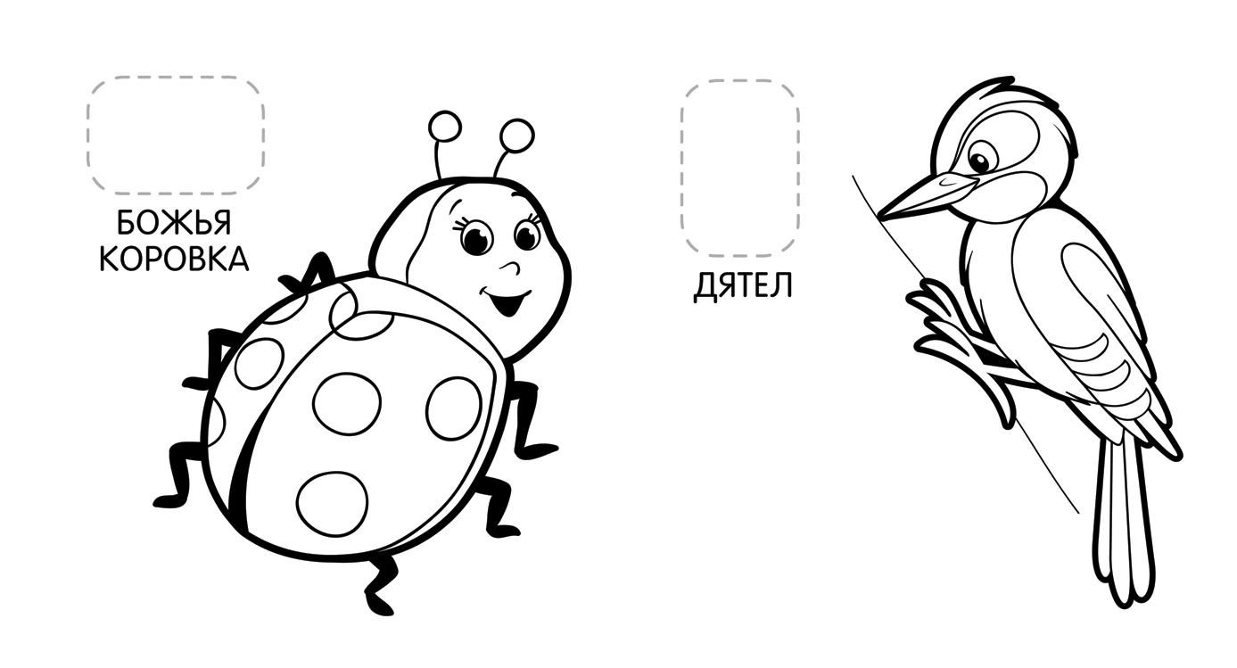 2025-08-28_16-29-40 (1)