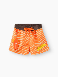 50647_orange_tiger_1 (1)