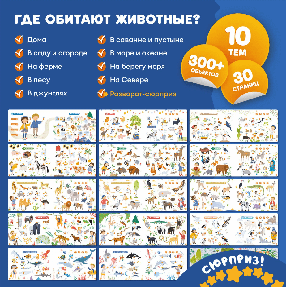 2024-11-05_16-46-28 (1)