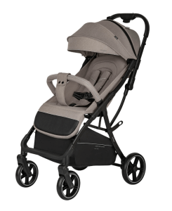 2025-01-27_14-18-25 (1)