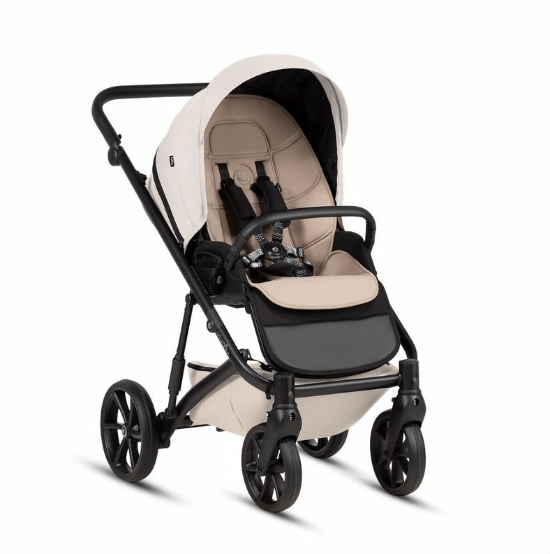 2026-02-03_12-42-39 (1)