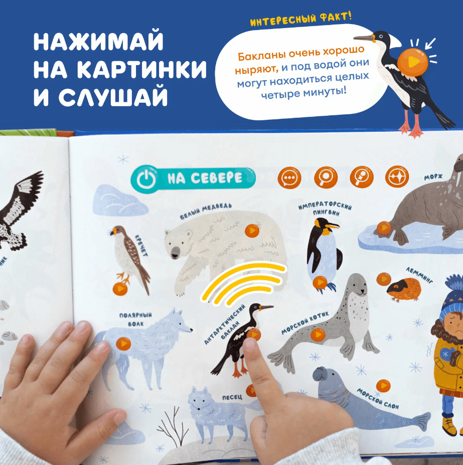 2024-11-05_16-45-25 (1)