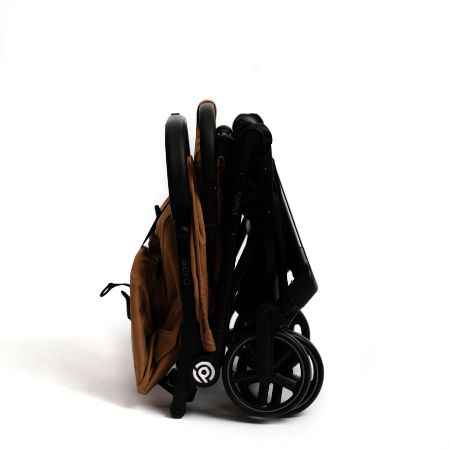 2025-01-21_16-36-18 (1)