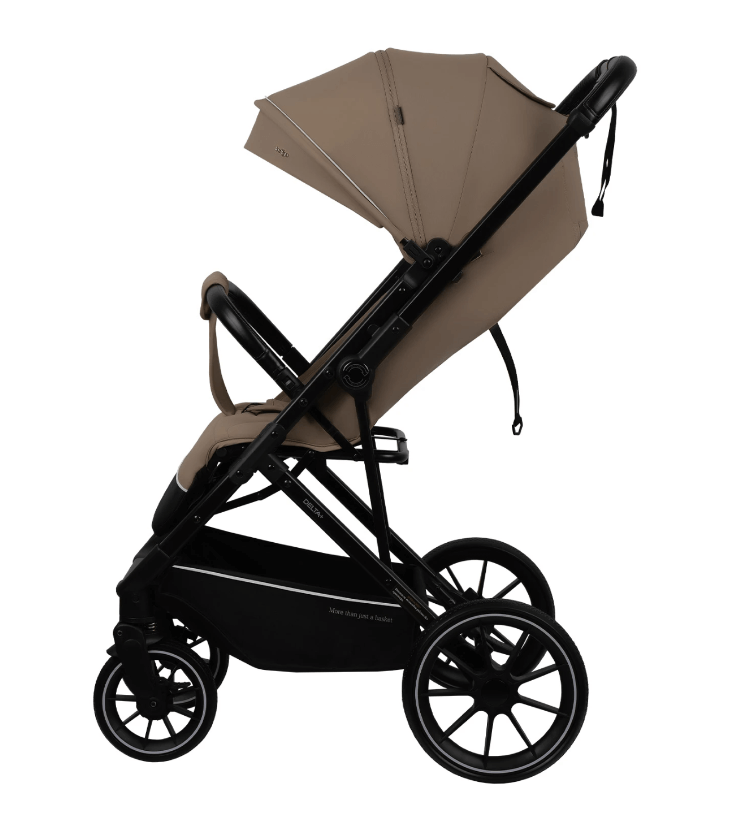 2026-02-06_12-23-46 (1)