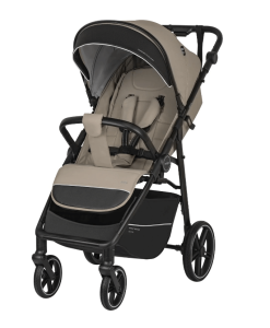 2025-01-31_16-21-40 (1)