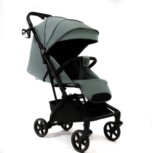 2025-01-21_16-37-35 (1)