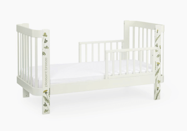 2024-03-11_17-09-53 (1)