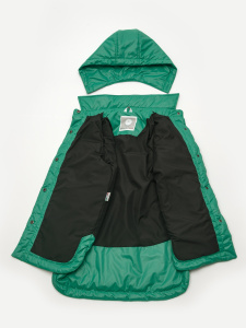 OB21145-23_абсент__2_