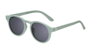 2025-04-29_17-33-04 (1)