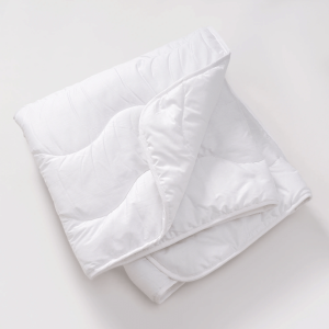 2025-10-30_11-27-38 (1)