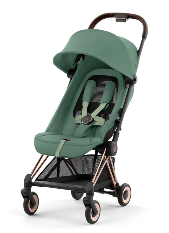 2026-02-18_12-50-10 (1)