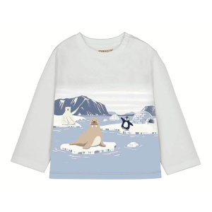 2068-пыльнгол