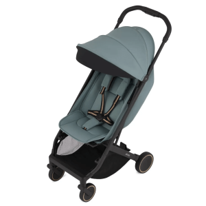 2025-01-27_17-29-44 (1)