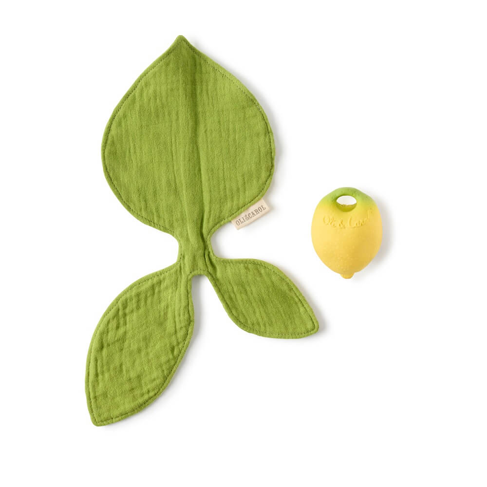 L_MINDOU_LEMON_6