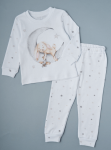 2025-10-21_17-40-49 (1)