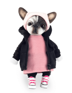 2025-12-15_16-05-20 (1)