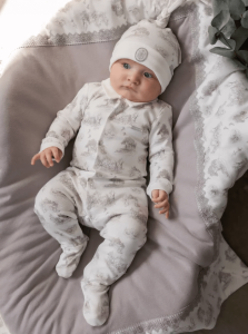 2024-08-27_16-30-41 (1)