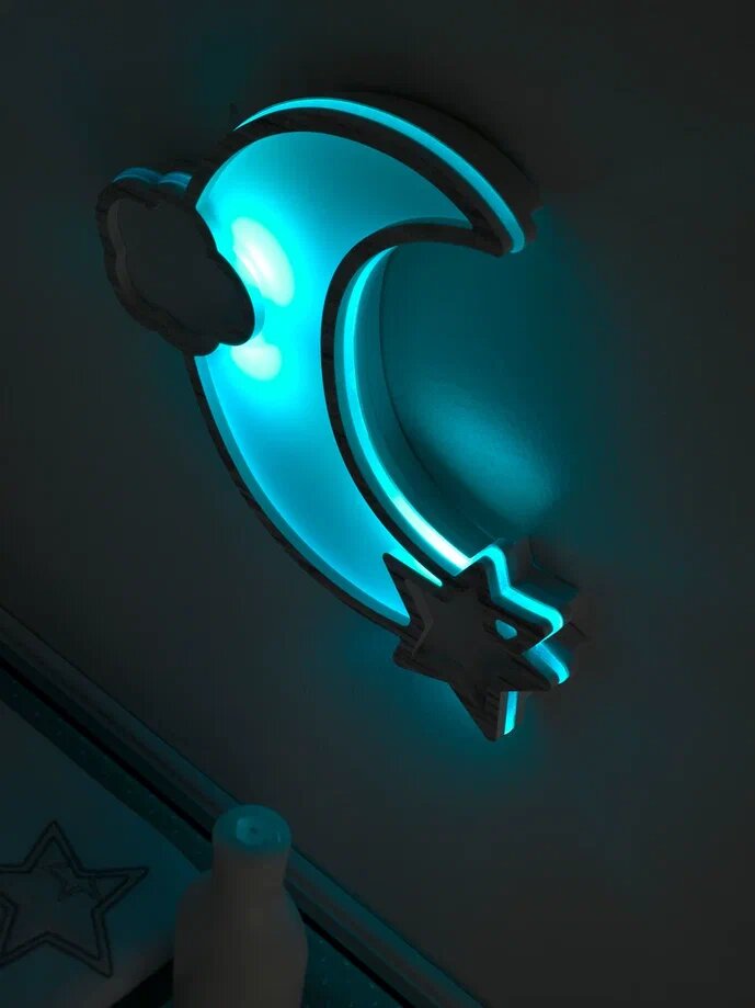 Moon tortora sbi. dettaglio 3C