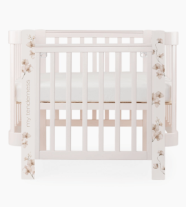 2024-04-25_11-49-35 (1)