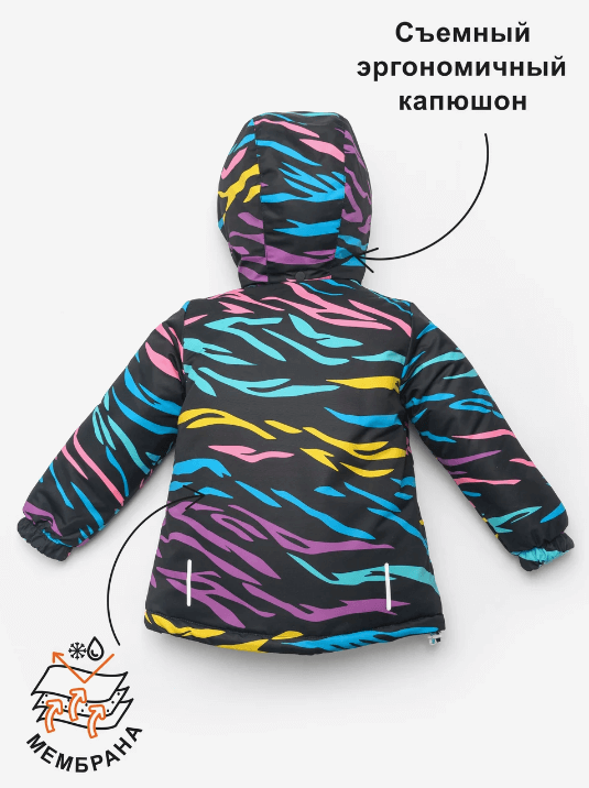 2024-08-23_12-46-14 (1)