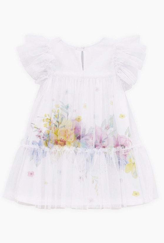 2025-11-25_12-00-00 (1)