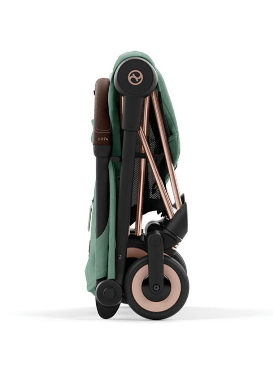 2026-02-18_12-50-53 (1)