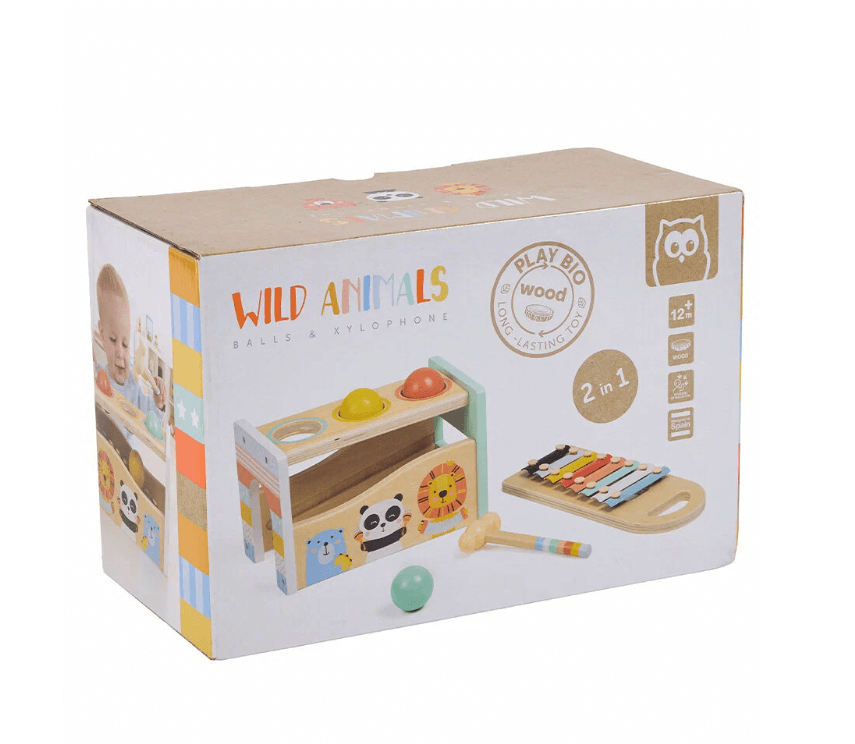 2026-02-17_10-38-17 (1)