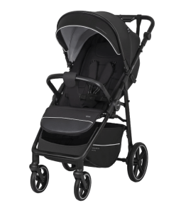 2025-01-31_16-22-58 (1)