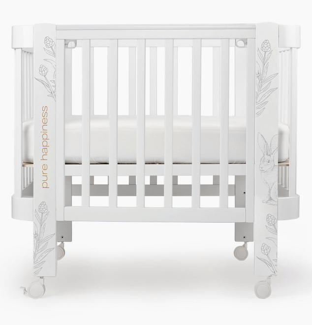 2024-03-01_13-16-56 (1)