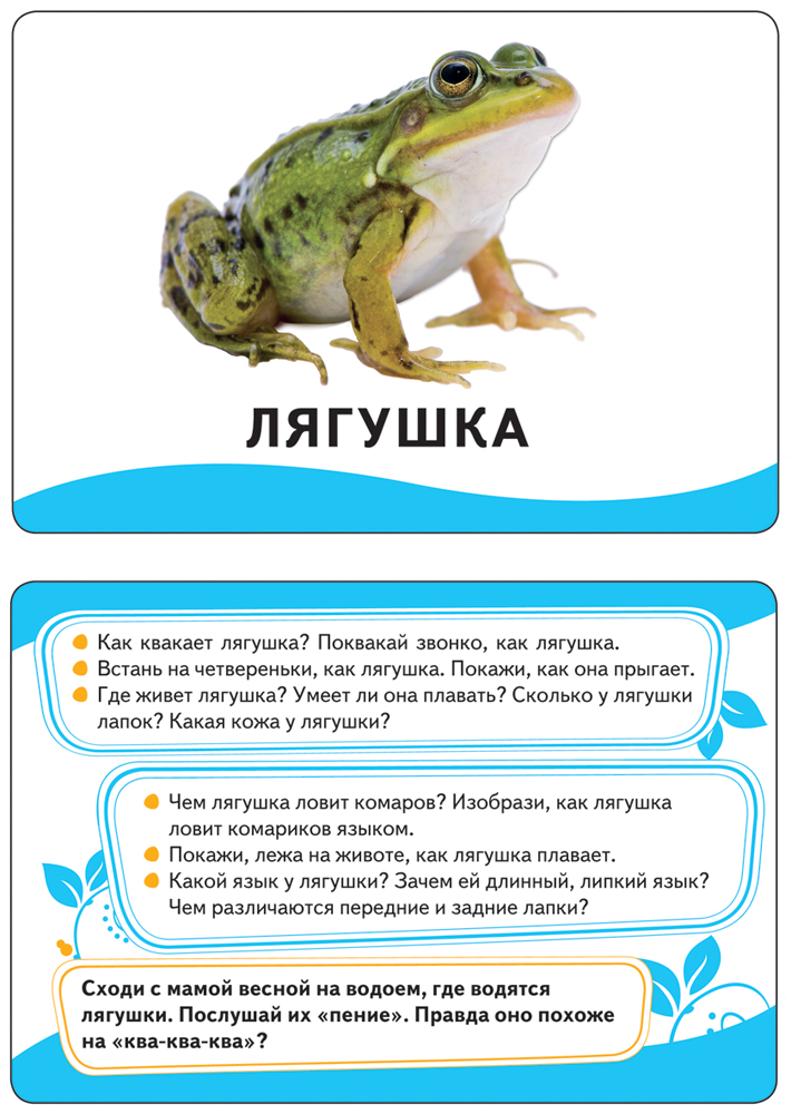 (Росм) Животные (разв.карточки 0+)