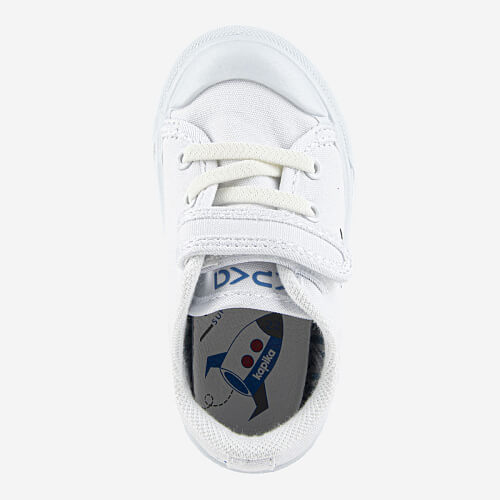 tvklocbwmvs49thnro250uds21iuha4y