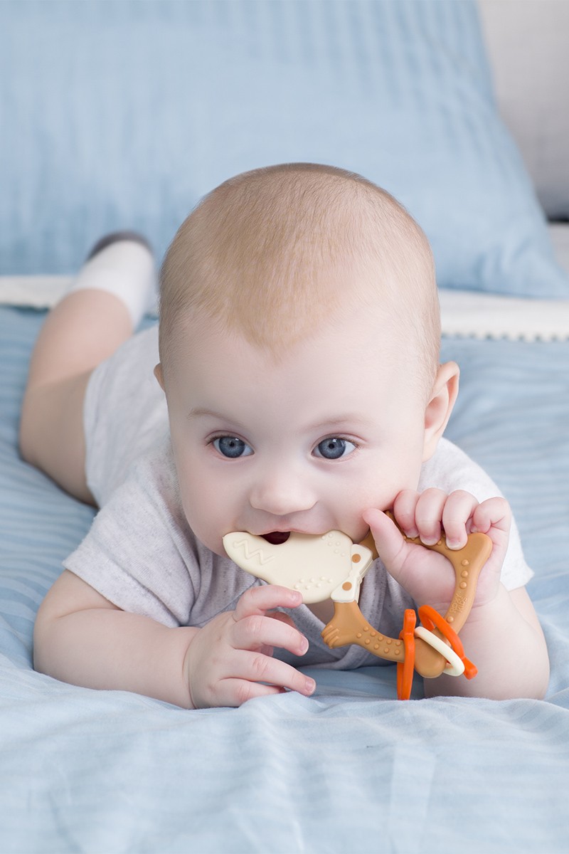 001BD-RBTe_9ca45e5041