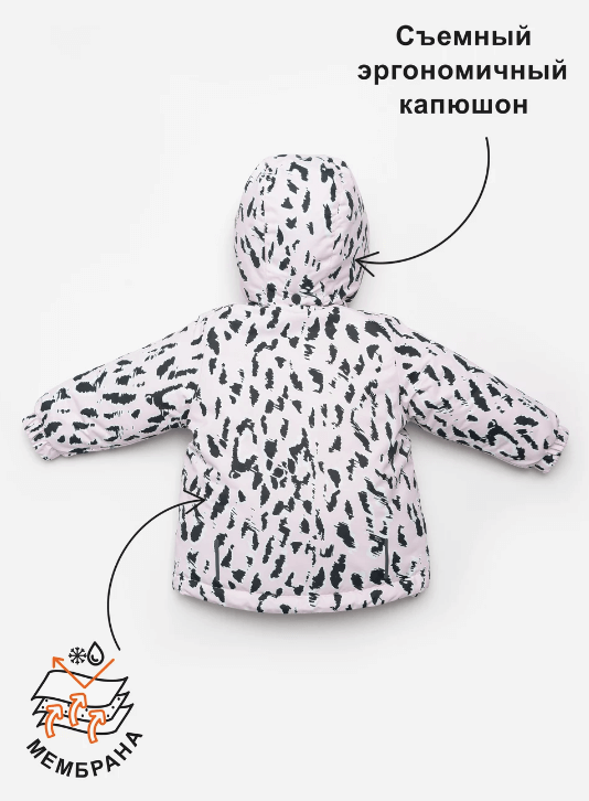 2024-08-23_13-05-12 (1)