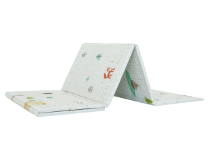 2025-11-01_17-12-26 (1)