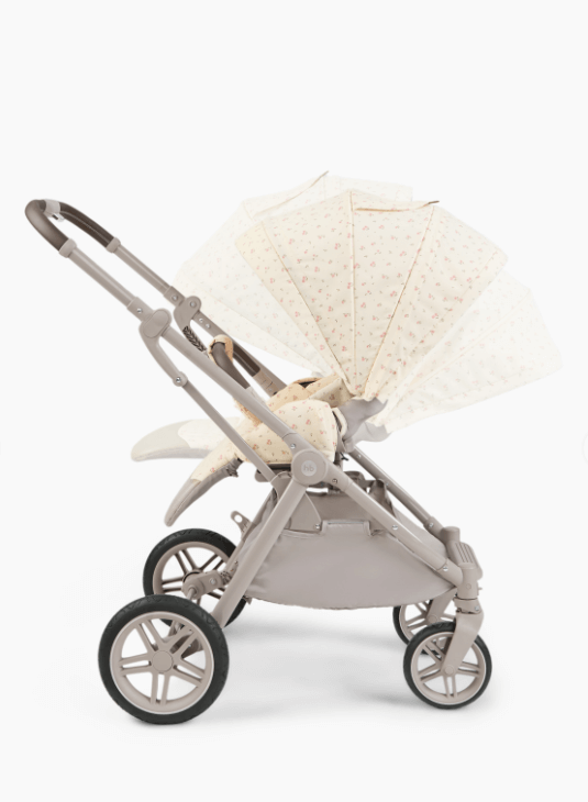 2025-04-22_12-17-26 (1)